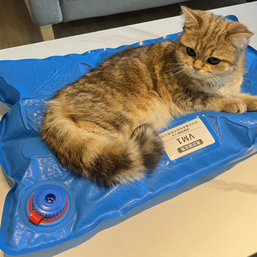Tapete de Posicionamento para Exame Veterinário Pequeno - Image 2