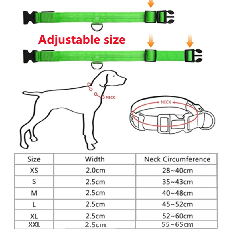 Coleira de LED para Cães Ajustável Recarregável USB e Anti-Perda Noturna - Imagem 5
