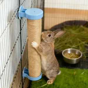 poste de arranhar para coelhos