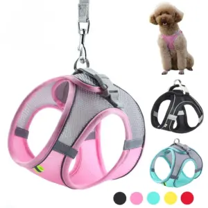 peitoral ajustável para cães com guia