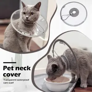coleira protetora transparente para gatos
