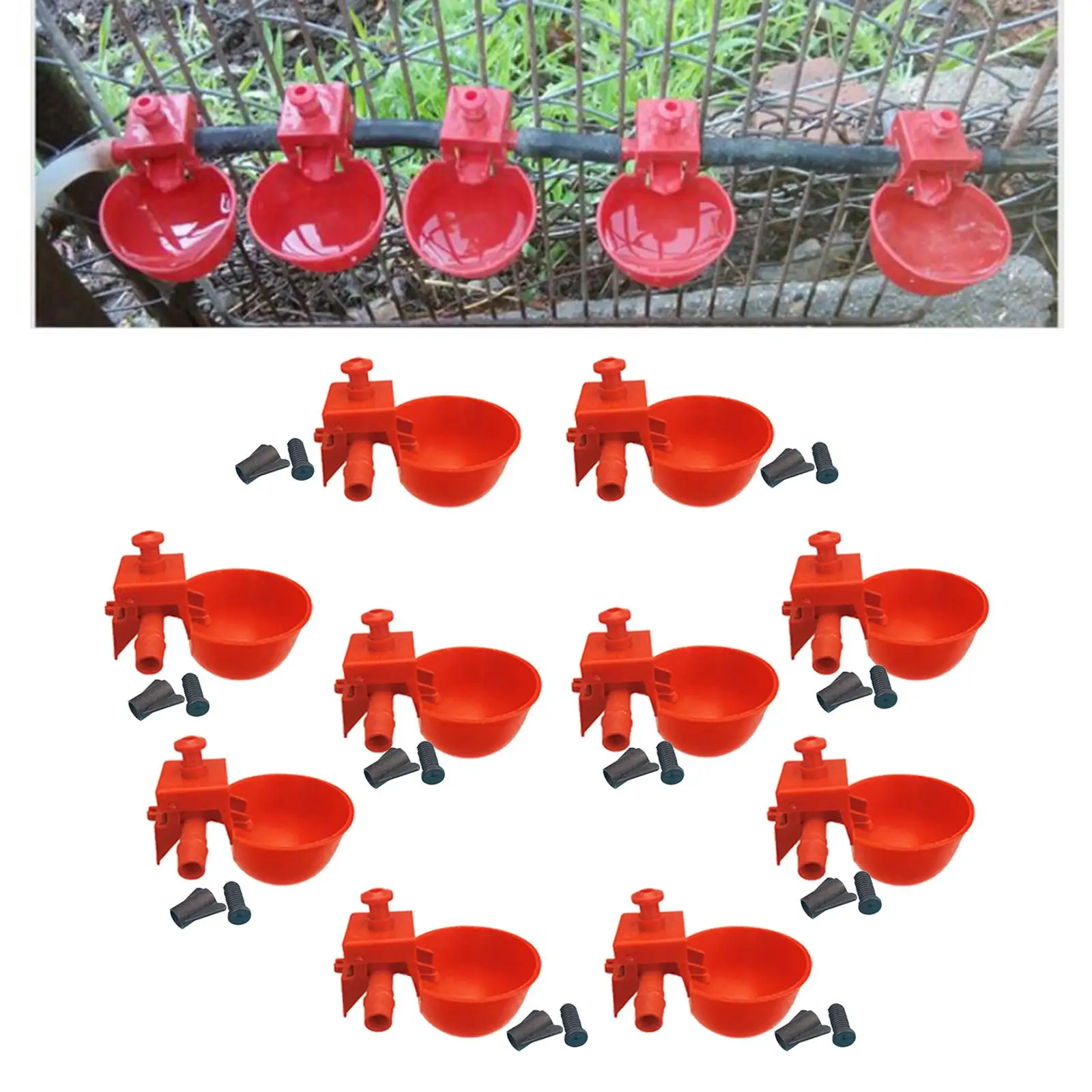 Copo Bebedouro para Aves 6,5x4 cm com 10 Unidades para Galinheiro - Imagem 6