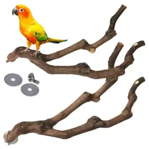 poleiro de madeira para pássaros