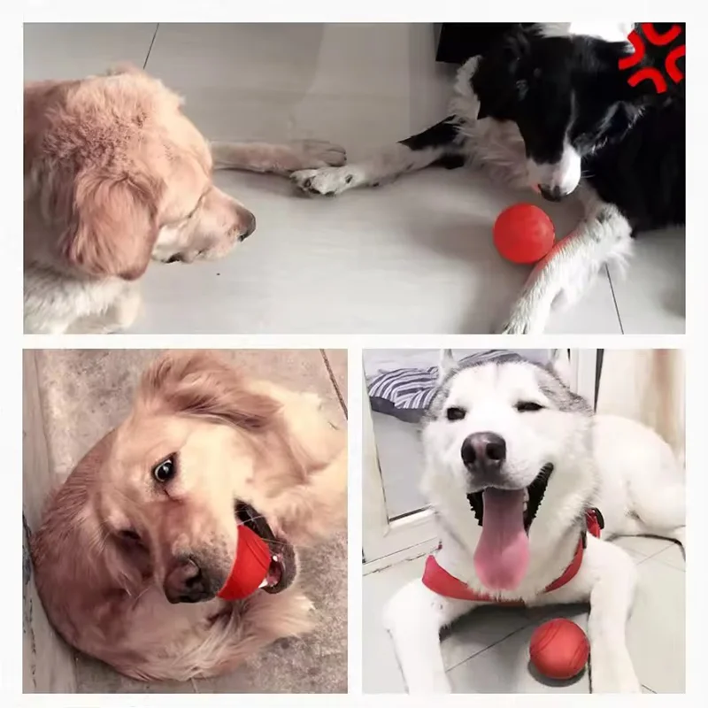 Bola de Borracha Elástica para Cães Sólida e Durável - Imagem 3
