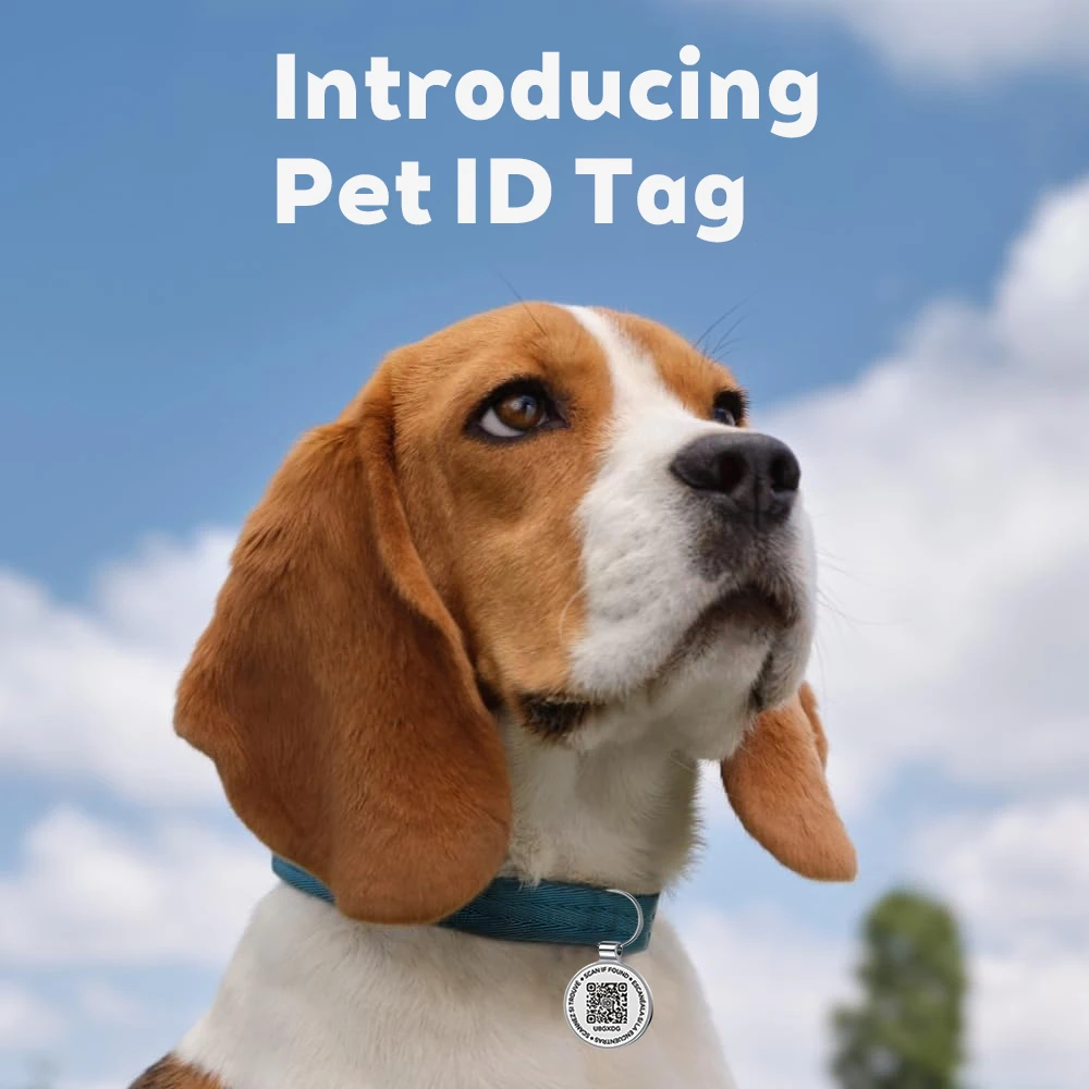Etiqueta QR ID para Cães e Gatos de Metal com Alertas por E-mail - Imagem 2