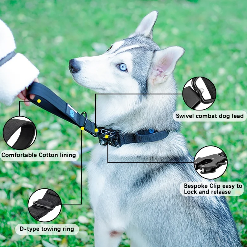 Guia de Nylon para Cães Grandes 30 cm com Fivela de Metal - Imagem 2
