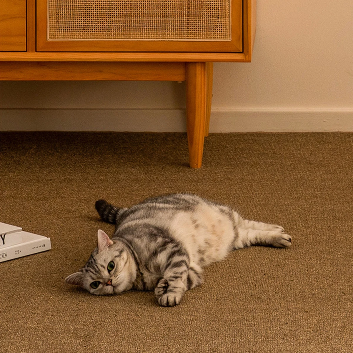 Tapete Arranhador para Gatos de Sisal Sintético Antiderrapante - Imagem 4