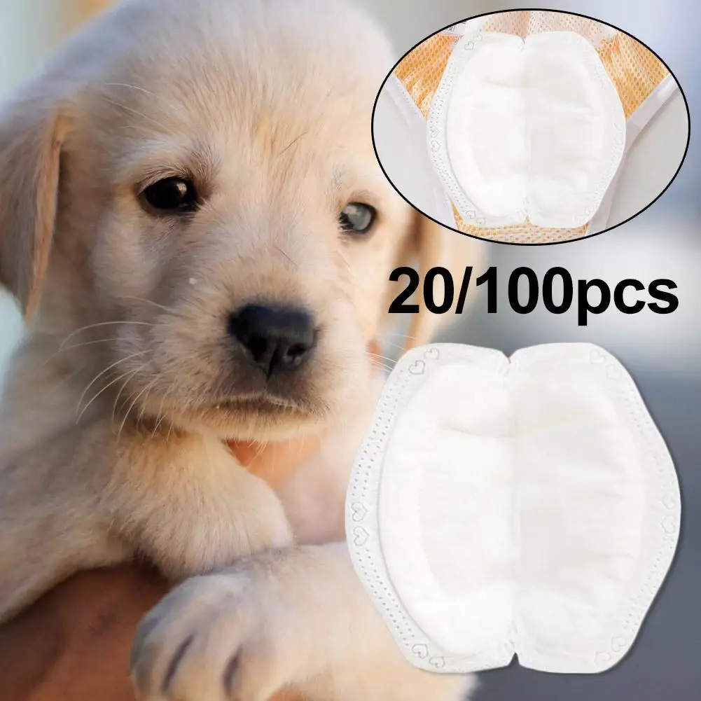 Fralda para Cães com 100 Unidades de Forros Absorventes Descartáveis - Imagem 5