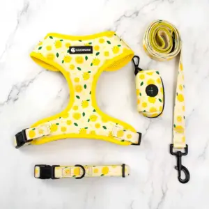 coleira para cães com neoprene