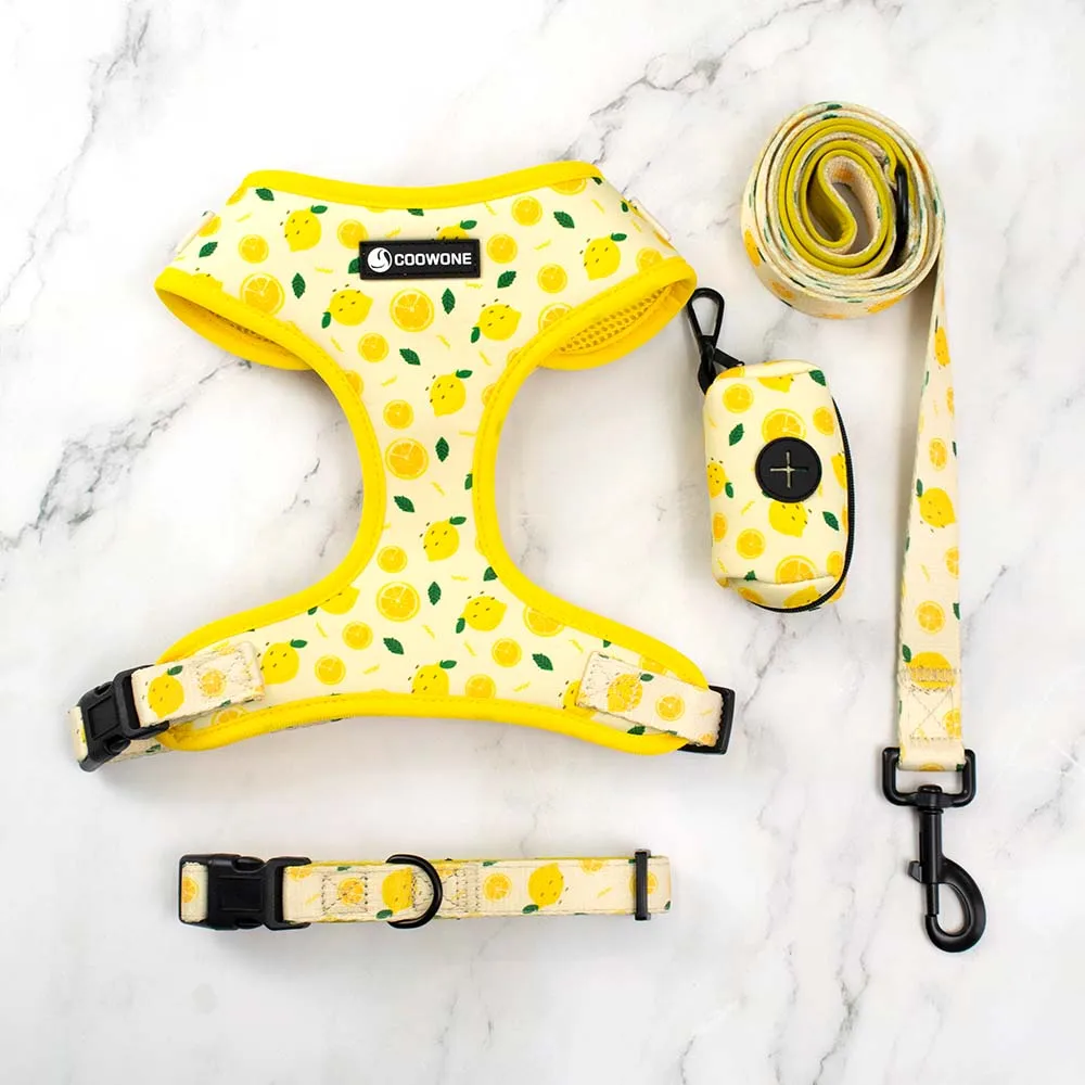 coleira para cães com neoprene
