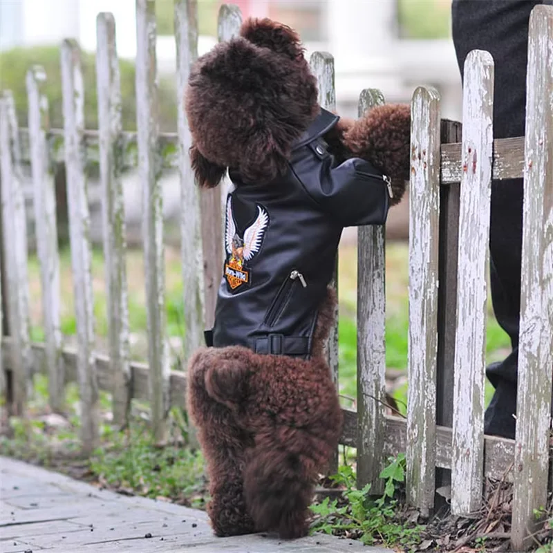 Casaco para Cães de Couro PU Preto Impermeável para Filhotes e Pequenos - Imagem 3