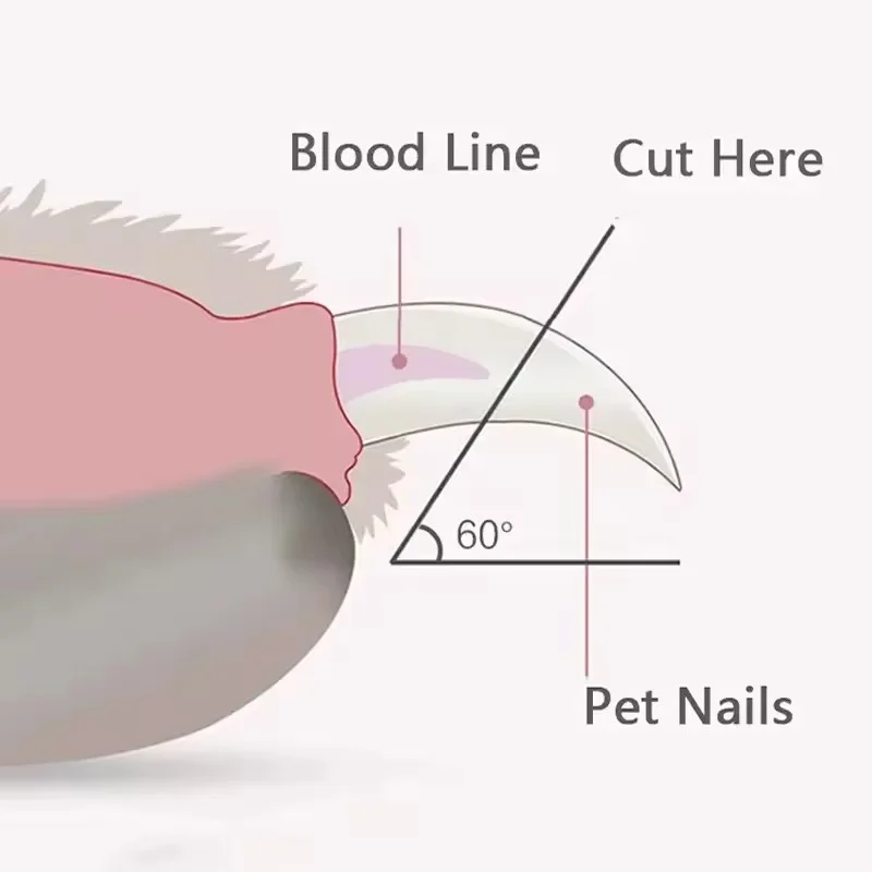 Cortador de Unhas para Cães e Gatos com LED e Trava de Segurança - Imagem 5