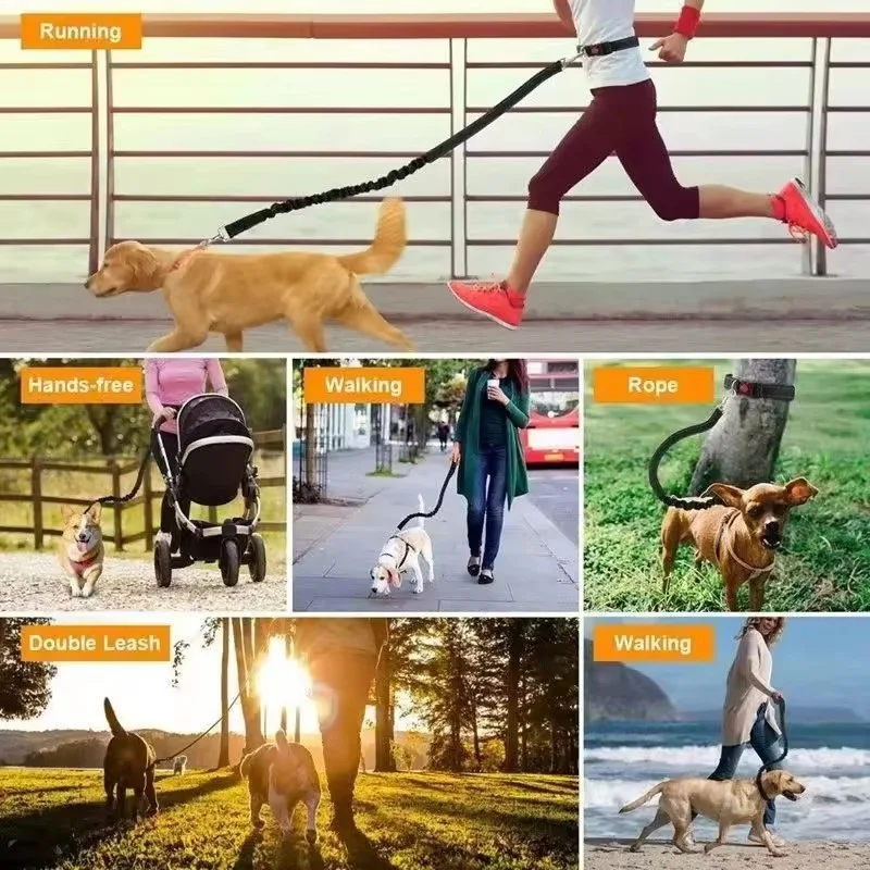 Coleira Mãos Livres para Cães Ajustável para Passeio e Corrida - Image 6