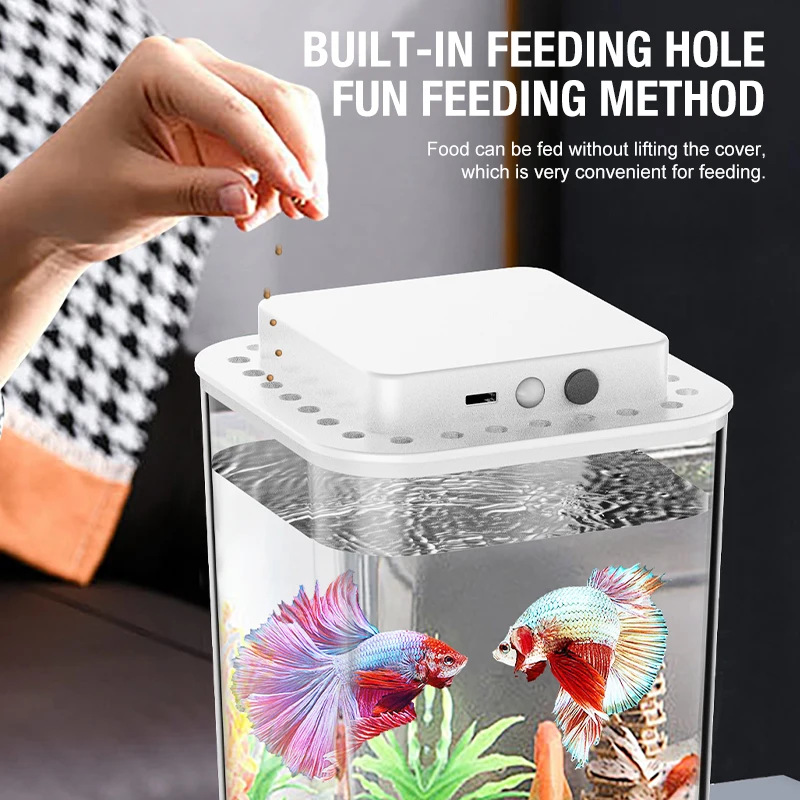 Aquário de Mesa para Peixes Dourados 11,6 cm com Iluminação Branca - Imagem 3