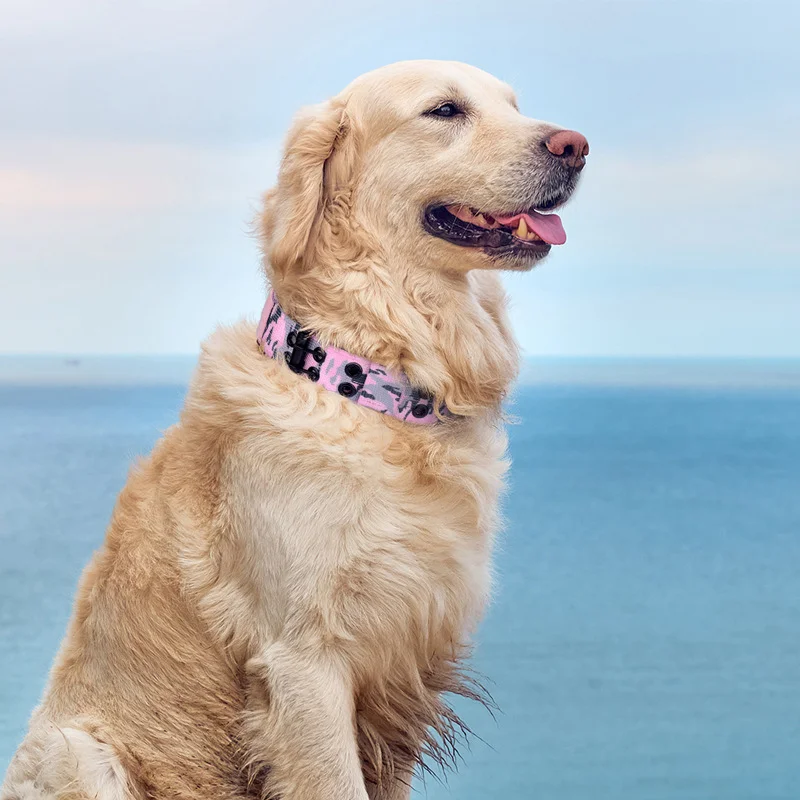 Coleira Tática para Cães de Nylon com Fivela Dupla Ajustável - Image 6