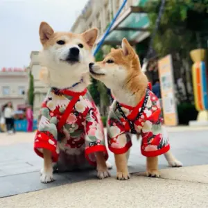 quimono japonês para cães e gatos pequenos