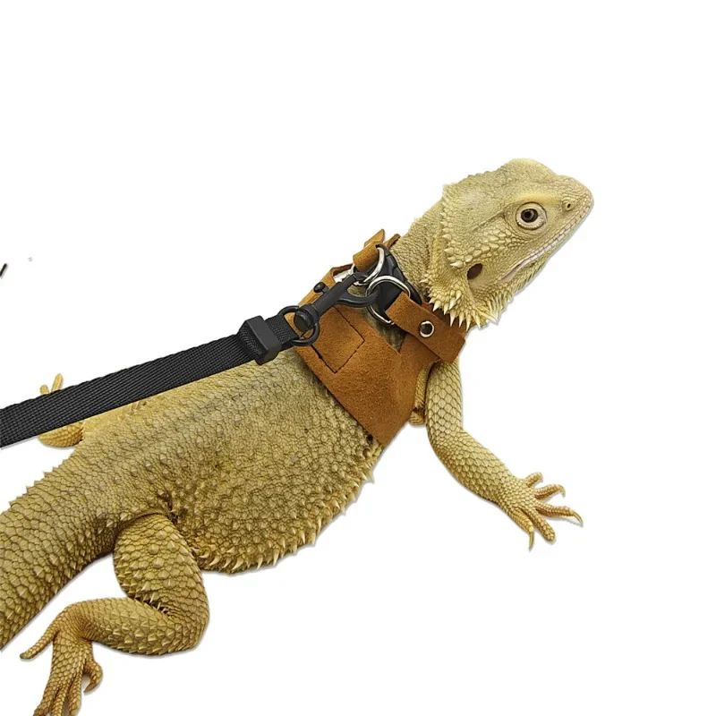 Conjunto de 3 Guias para Lagarto e Camaleão com Arnês Respirável - Imagem 2