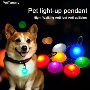 colar led usb recarregável para cães