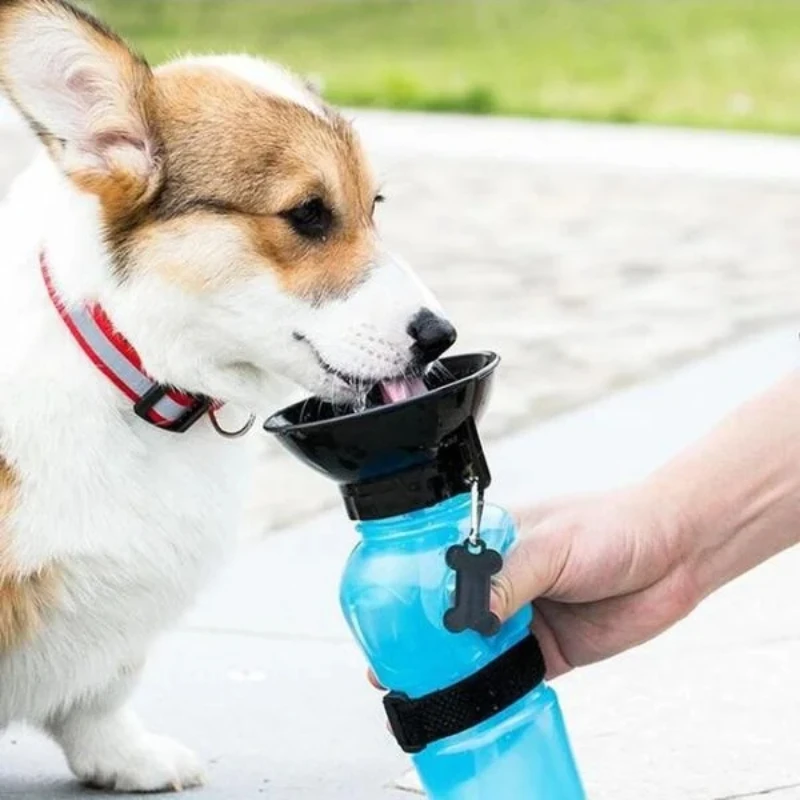 garrafa de água portátil para cães