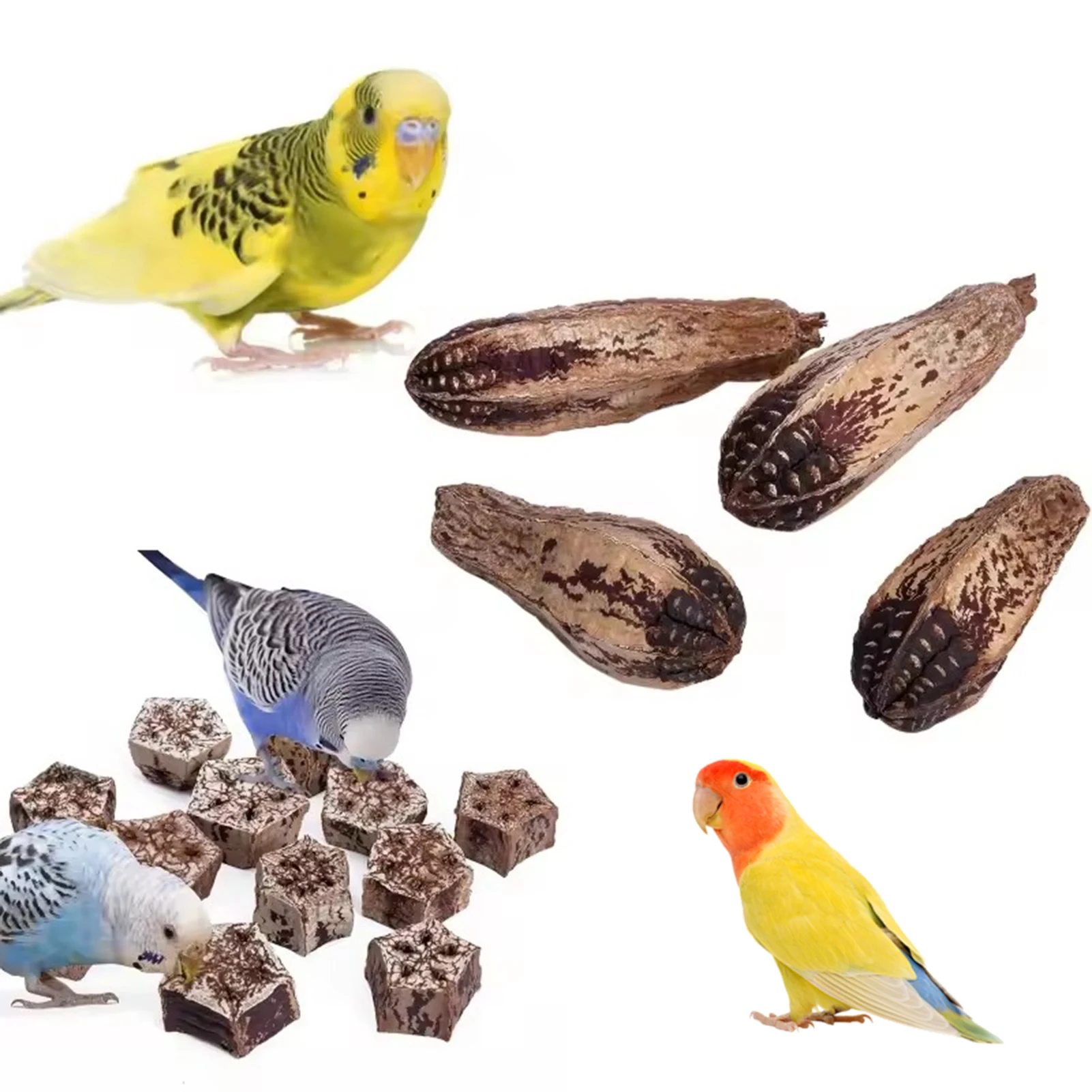Brinquedo para Pássaros de Mastigar de Frutas Naturais para Calopsita e Conure - Imagem 6