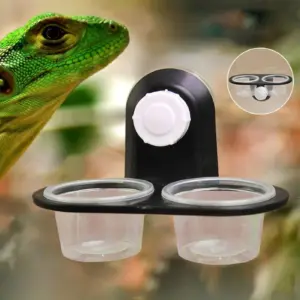 prato de alimentação para geckos