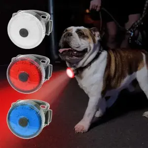 coleira led para cães recarregável