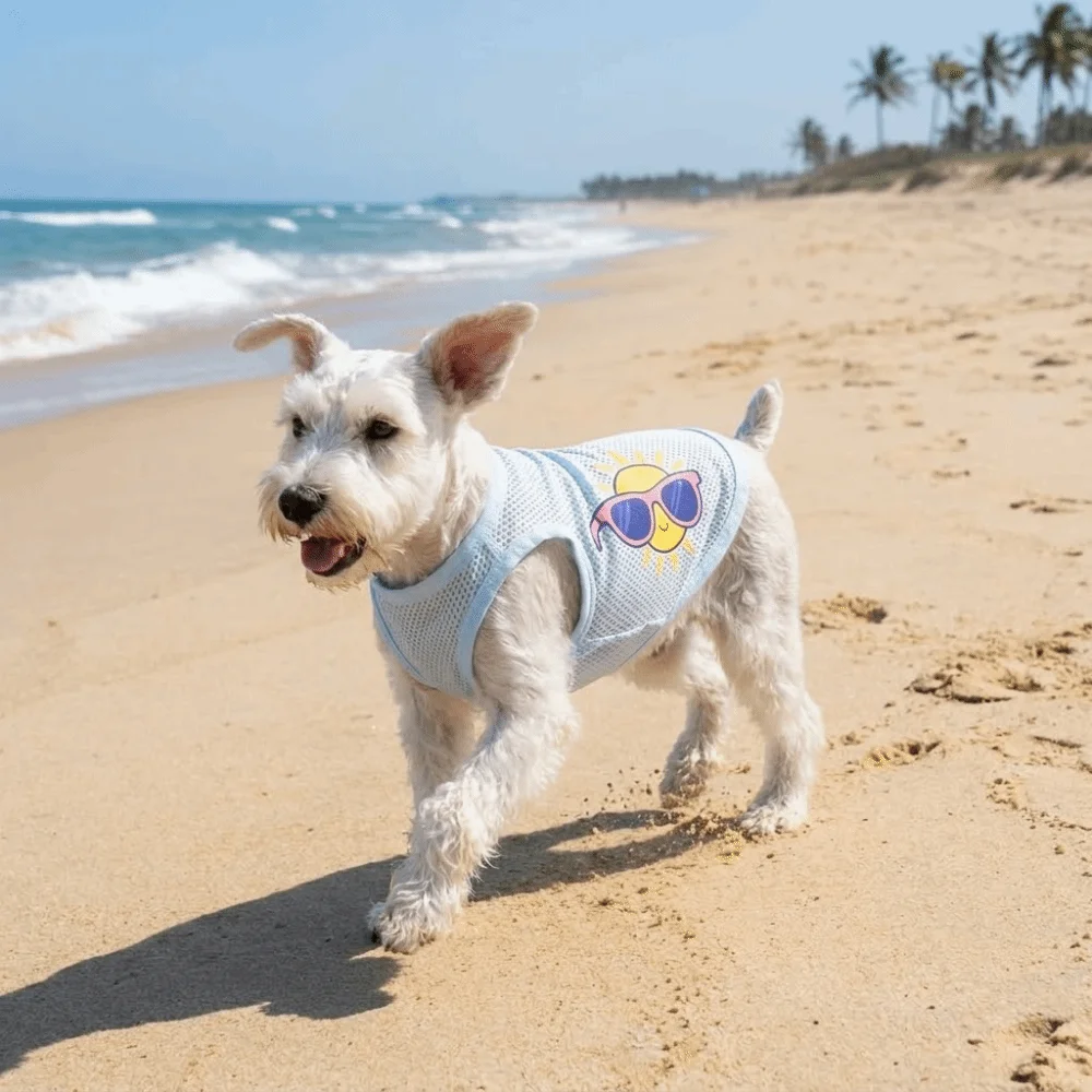 Colete de Malha para Cães em Poliéster Leve e Respirável - Image 3