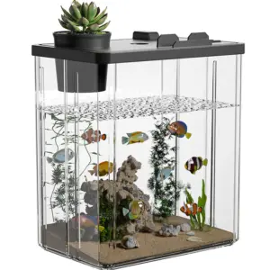 aquário pequeno para tartarugas de mesa