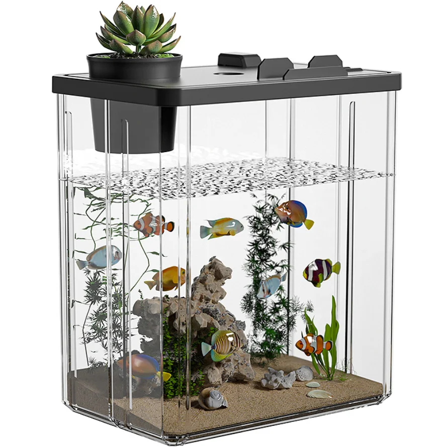 aquário pequeno para tartarugas de mesa