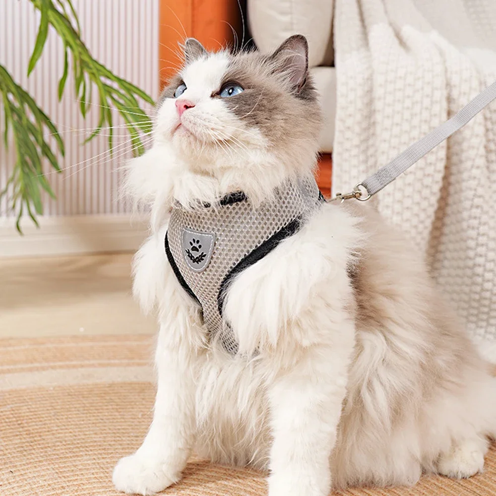Colete Peitoral para Cães e Gatos Pequenos com Faixa Refletiva - Imagem 2