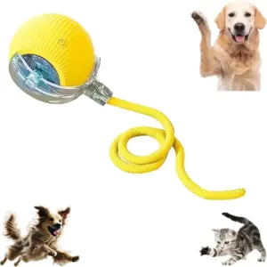 brinquedo bola automática para pets