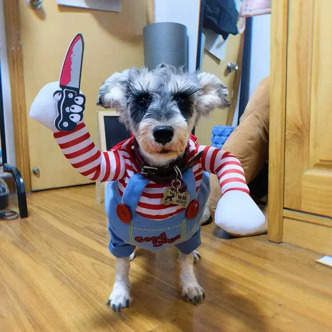 Roupa de Cachorro Cosplay Halloween para Cães Pequenos e Médios - Imagem 2