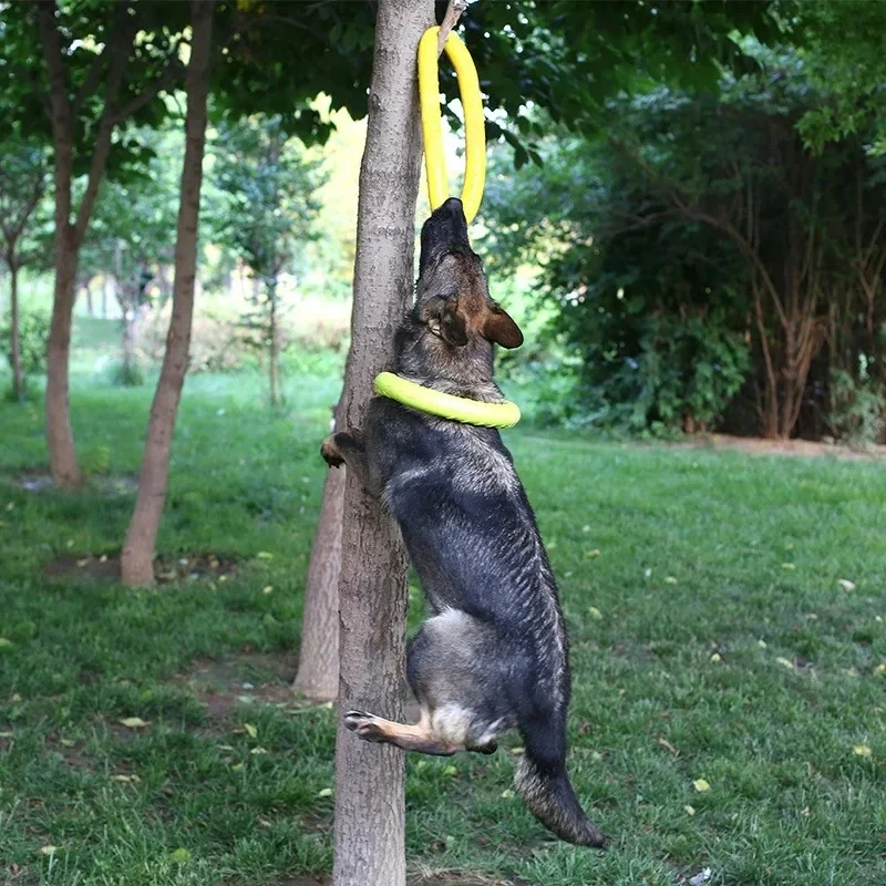 Brinquedo Anel para Cães de EVA Flutuante para Jogar na Água - Imagem 4