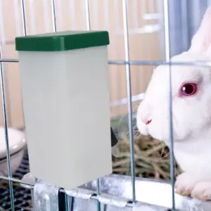 bebedouro portátil para pets