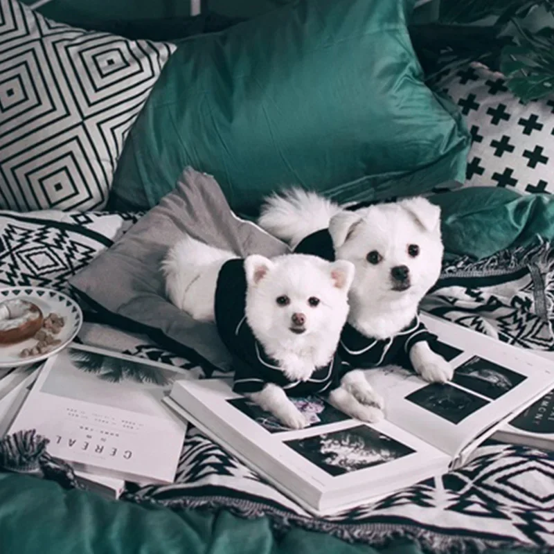 Pijama para Cães Pequenos Roupa de Verão Leve - Imagem 5