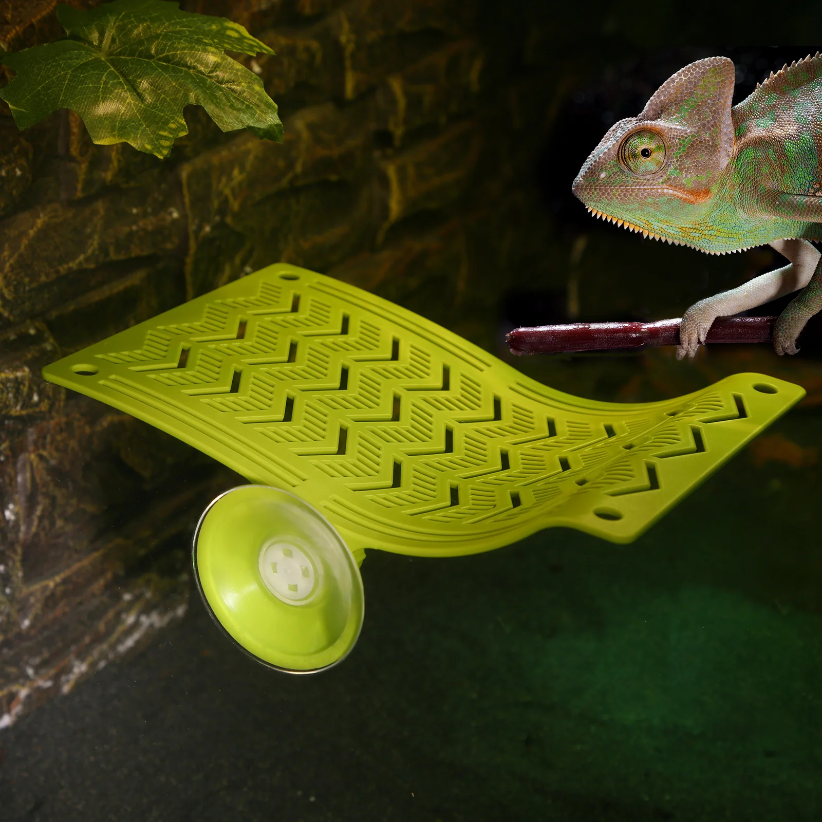 Rede para Répteis de Plástico Durável para Lagartos e Geckos - Image 4