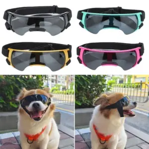 óculos de sol para cães com proteção uv