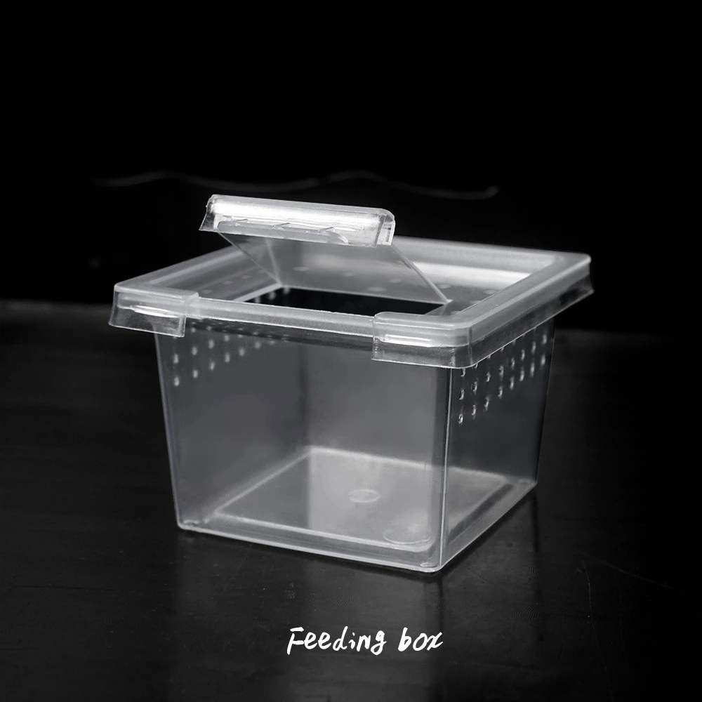 Caixa de Criação para Répteis e Insetos Transparente 6,8x6,8x4,5 cm - Imagem 2