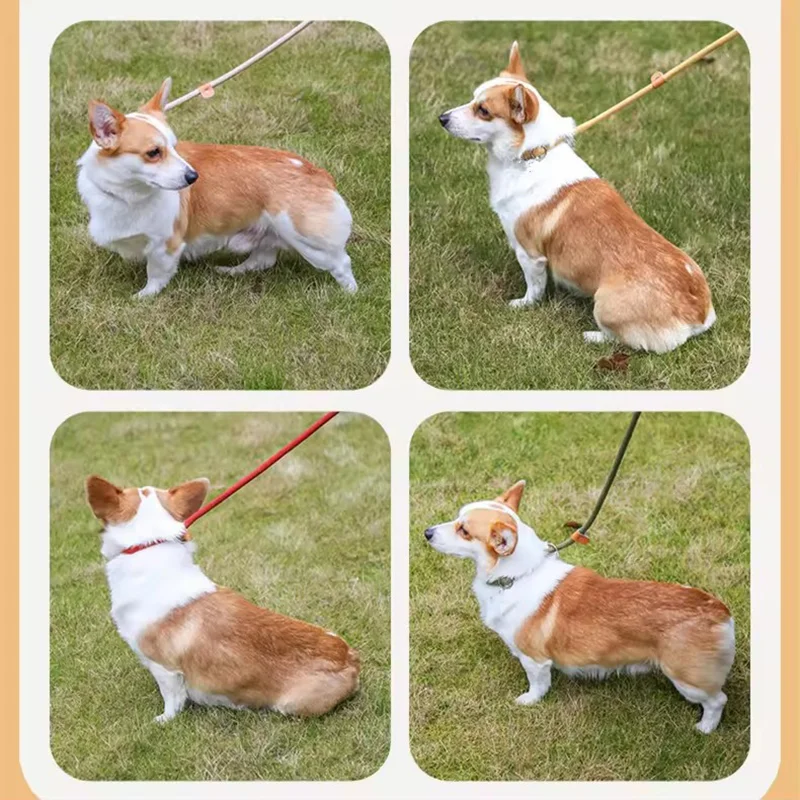 Guia Deslizante para Cães Grandes de Nylon Extra Longa e Grossa - Imagem 6