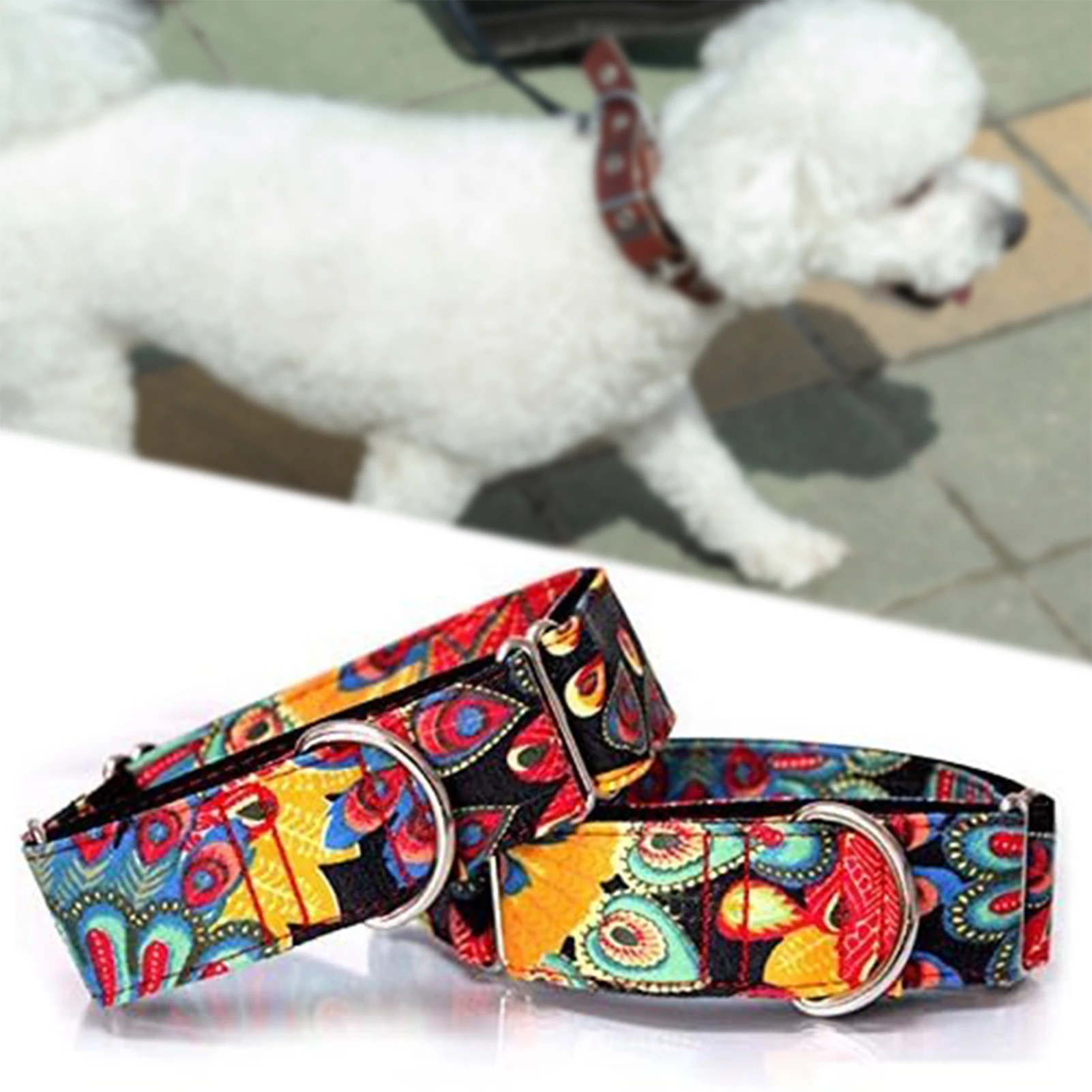 Coleira Martingale para Cães Ajustável de Poliéster Resistente a Rasgos - Imagem 3