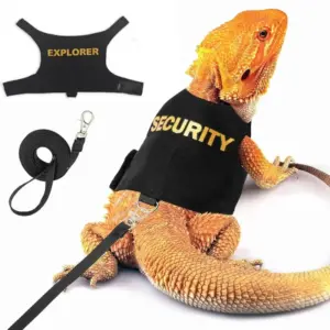 coleira peitoral para lagarto
