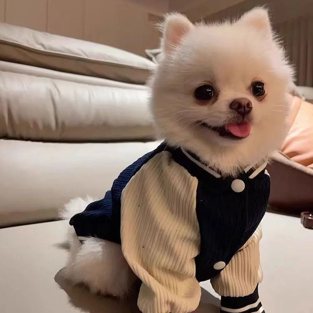 Jaqueta Beisebol para Cães Pequenos e Médios com Bordado - Imagem 5