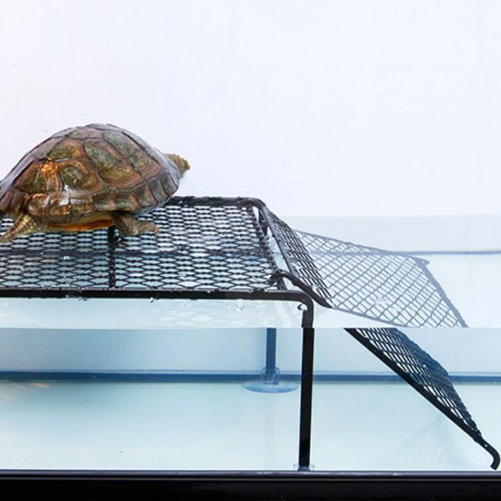 Plataforma Flutuante para Tartarugas com Rampa e Ventosas - Imagem 3