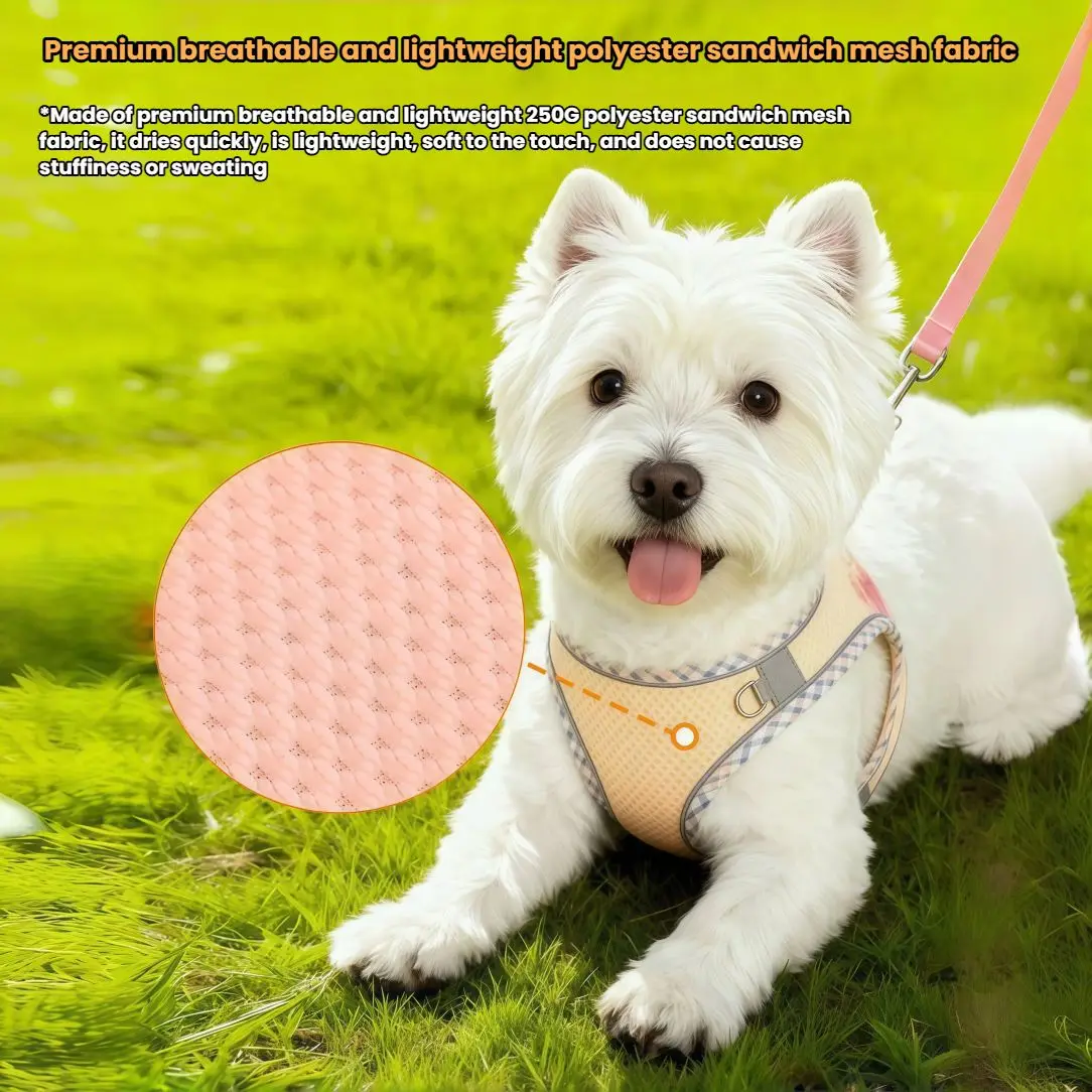 Conjunto Peitoral e Guia para Cães e Gatos Pequenos e Médios Refletivo - Imagem 5
