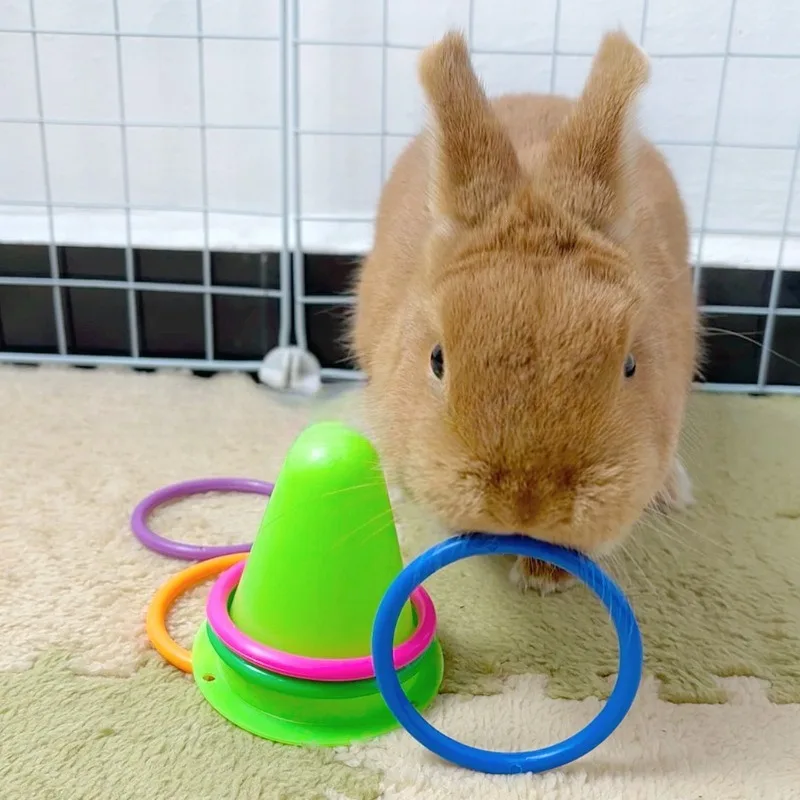 Brinquedo Cone para Coelhos de 7 cm para Roer - Image 3