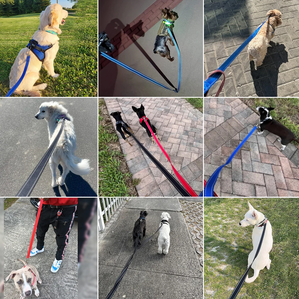Guia para Cães de Nylon Refletiva Longa para Passeio - Imagem 6