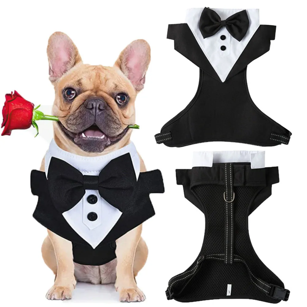 camisa smoking para cães pequenos