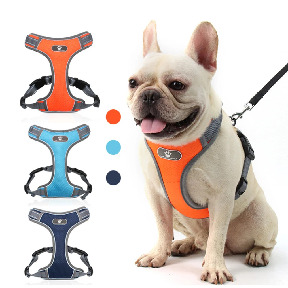 Colete para Cães Refletivo Oxford para Passeio - Imagem 4