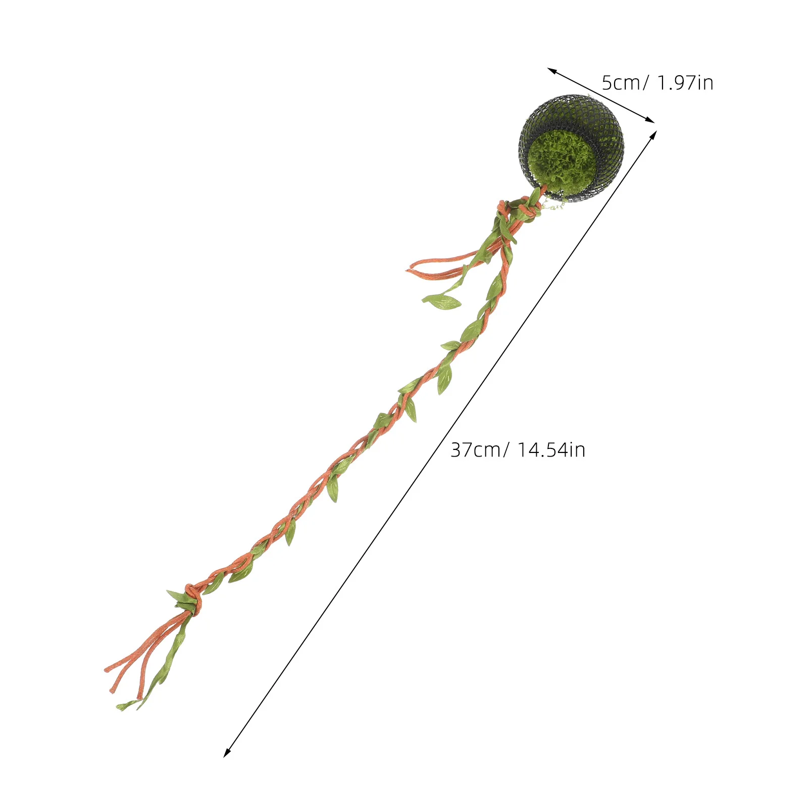 Abrigo para Aranha Saltadora de Videira Natural 37 cm - Imagem 3