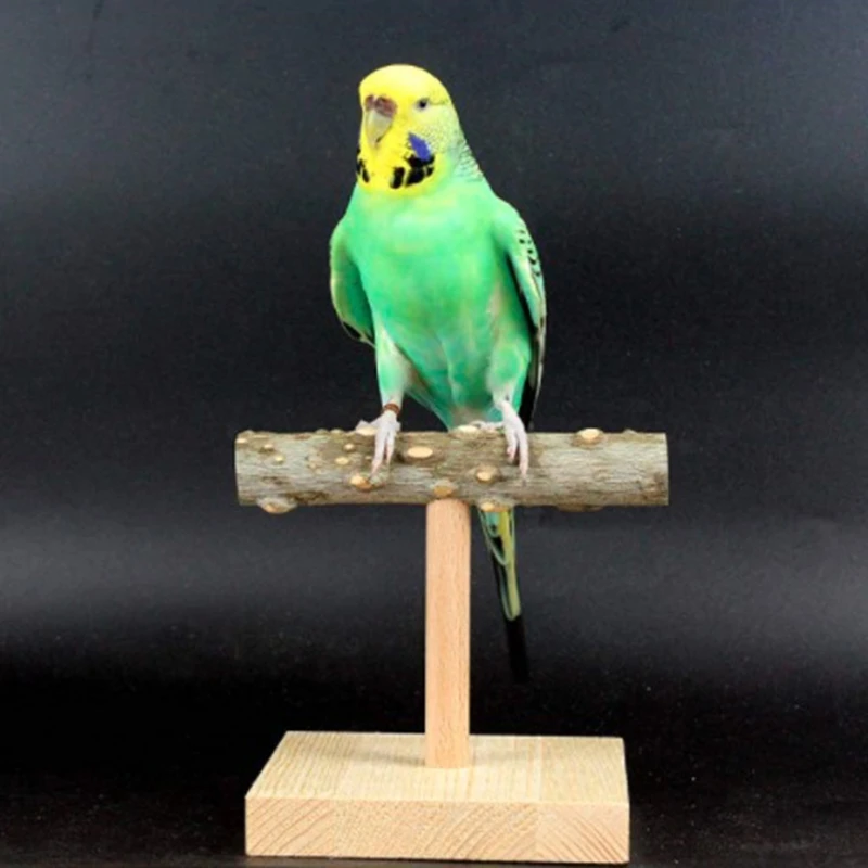 Poleiro de Mesa para Pássaros de Madeira Natural com Base 10x10 cm - Imagem 5